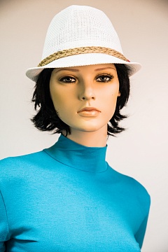 Изображения VI&SE 17-MD-81